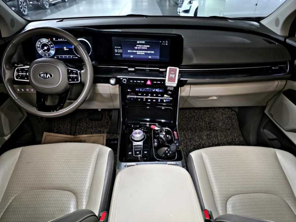 KIA Carnival - Vista 12