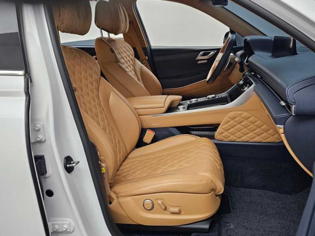 Genesis GV80 - Vista 10