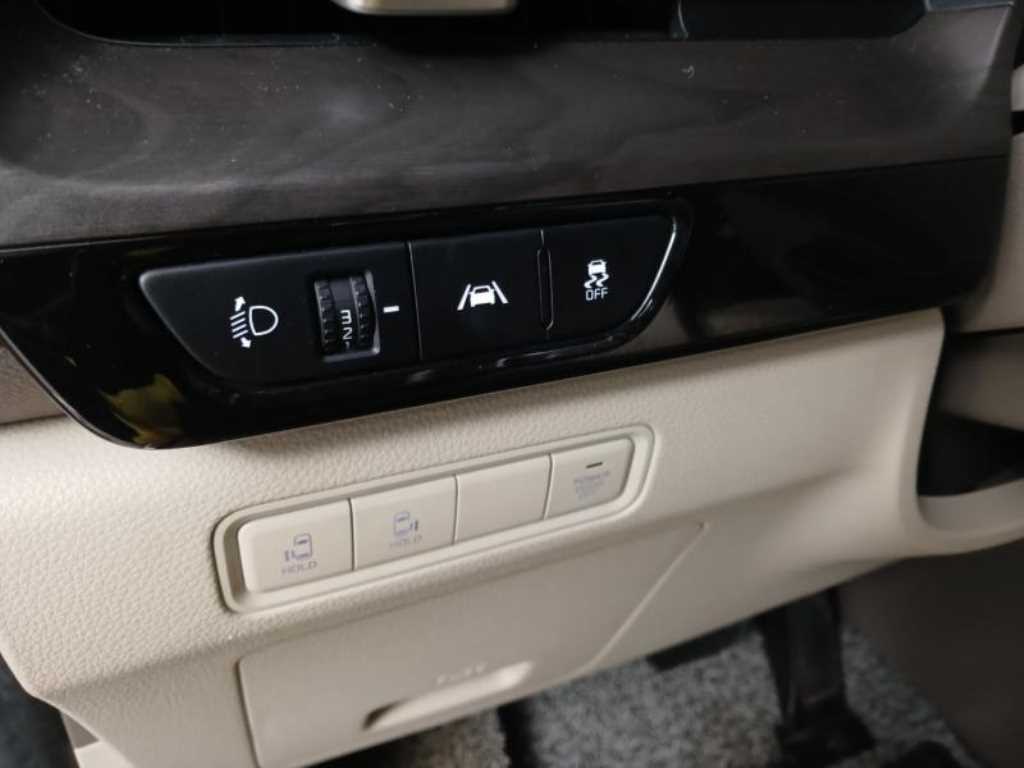 KIA Carnival - Vista 12