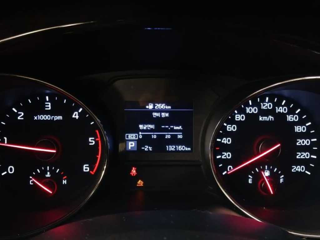 KIA Carnival - Vista 10