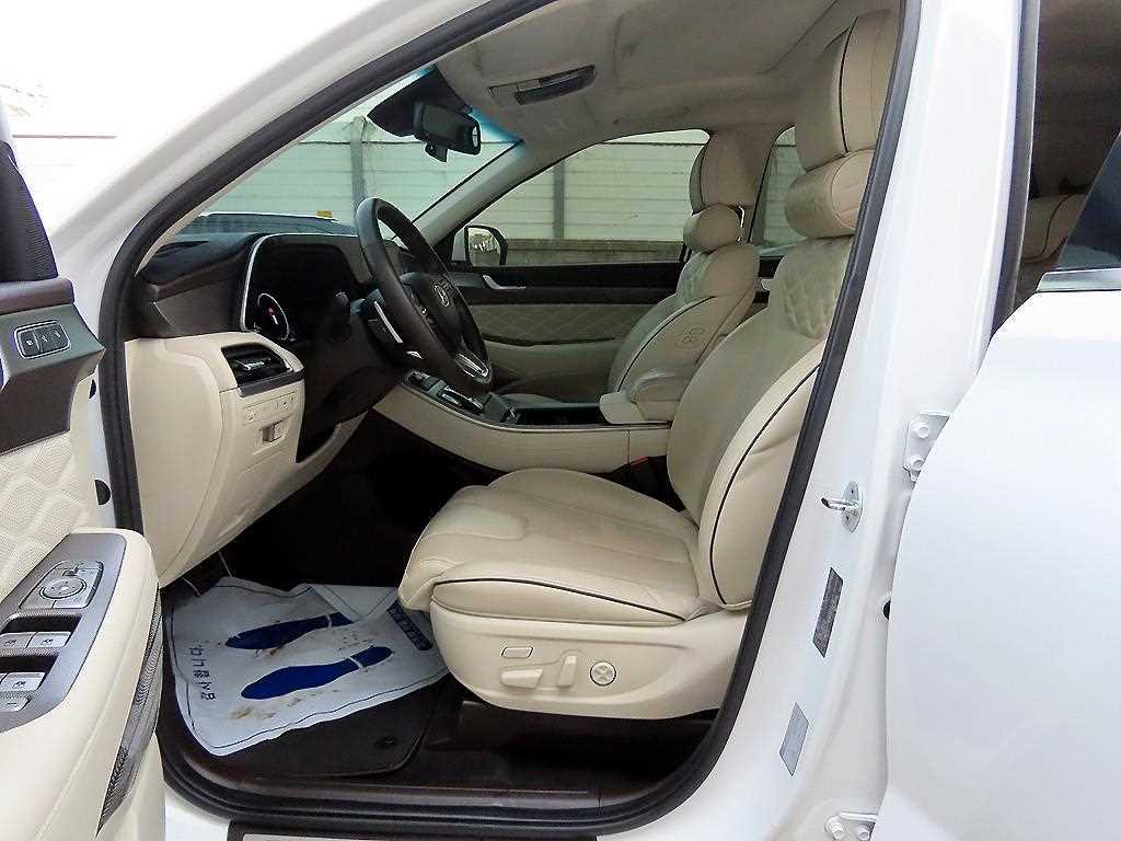 HYUNDAI Palisade - Vista 6