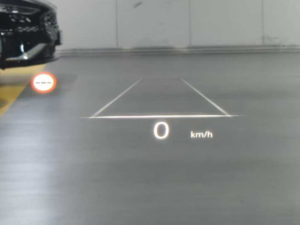 Genesis G90 - Vista 10