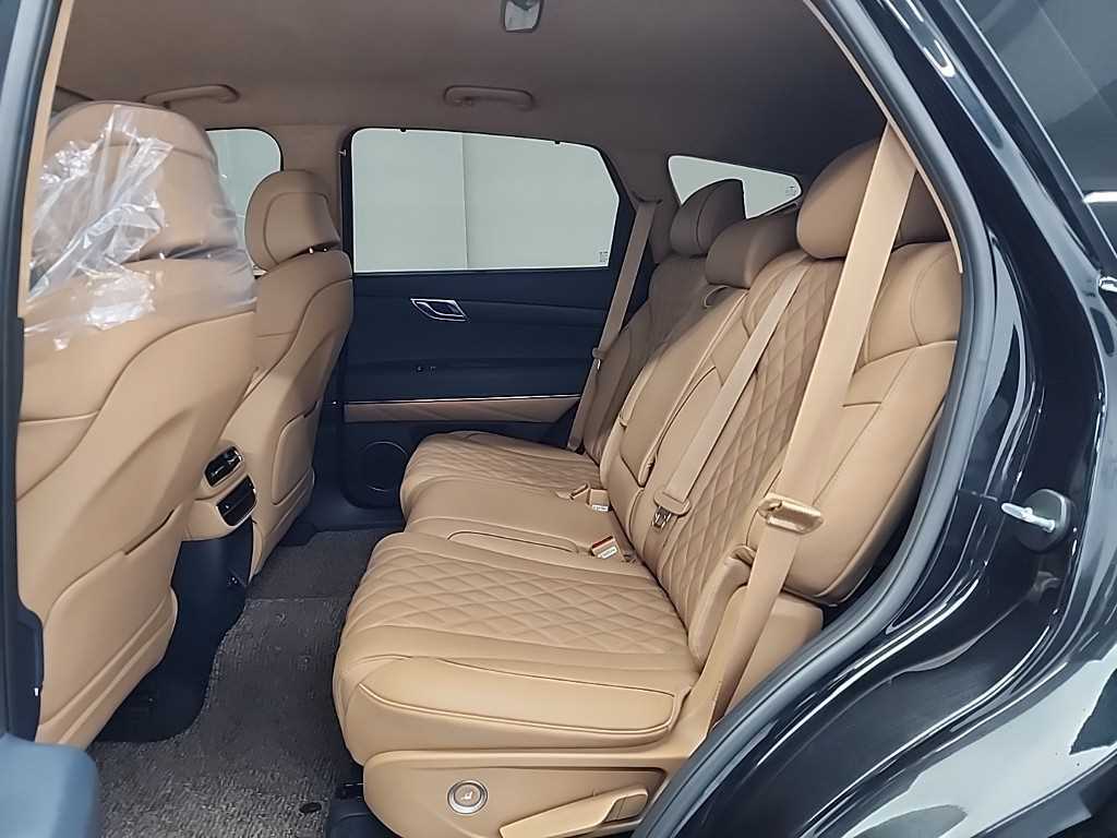 Genesis GV80 - Vista 12