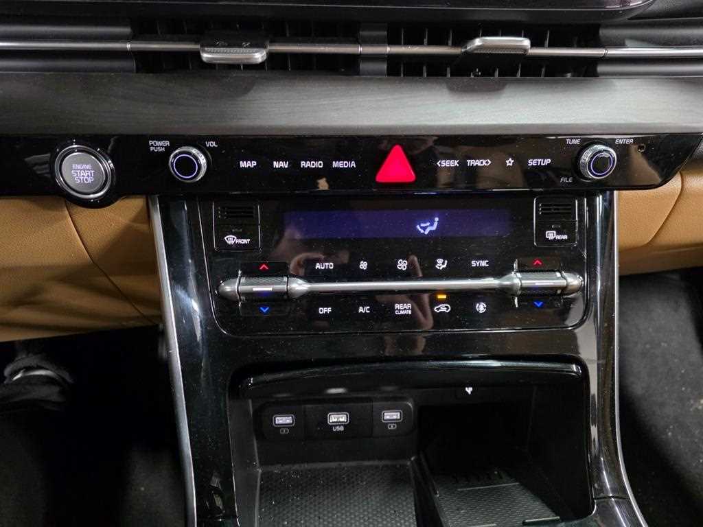 KIA Carnival - Vista 11