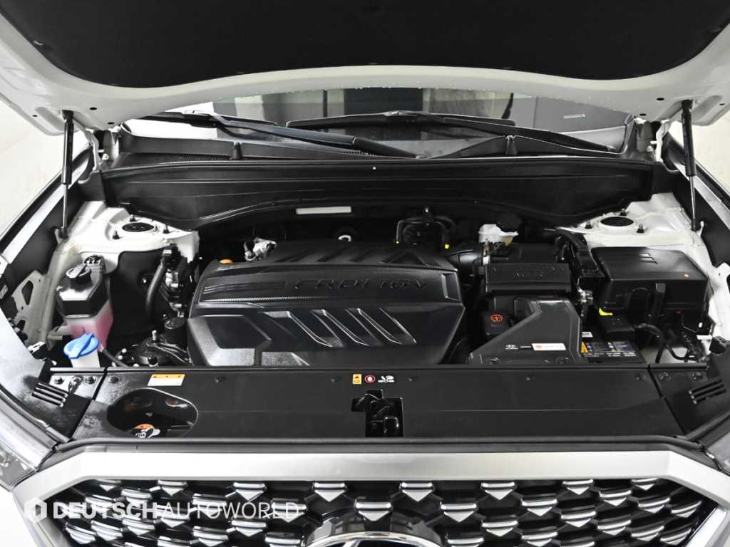 HYUNDAI Palisade - Vista 6