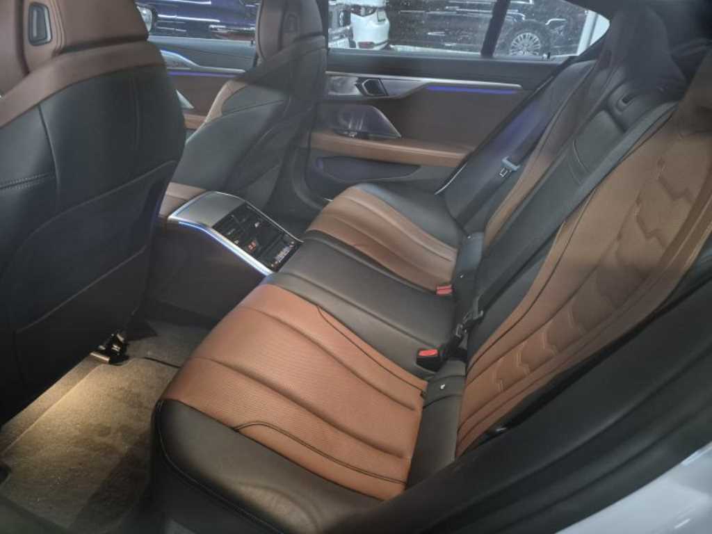 BMW 8 Series - Vista 6