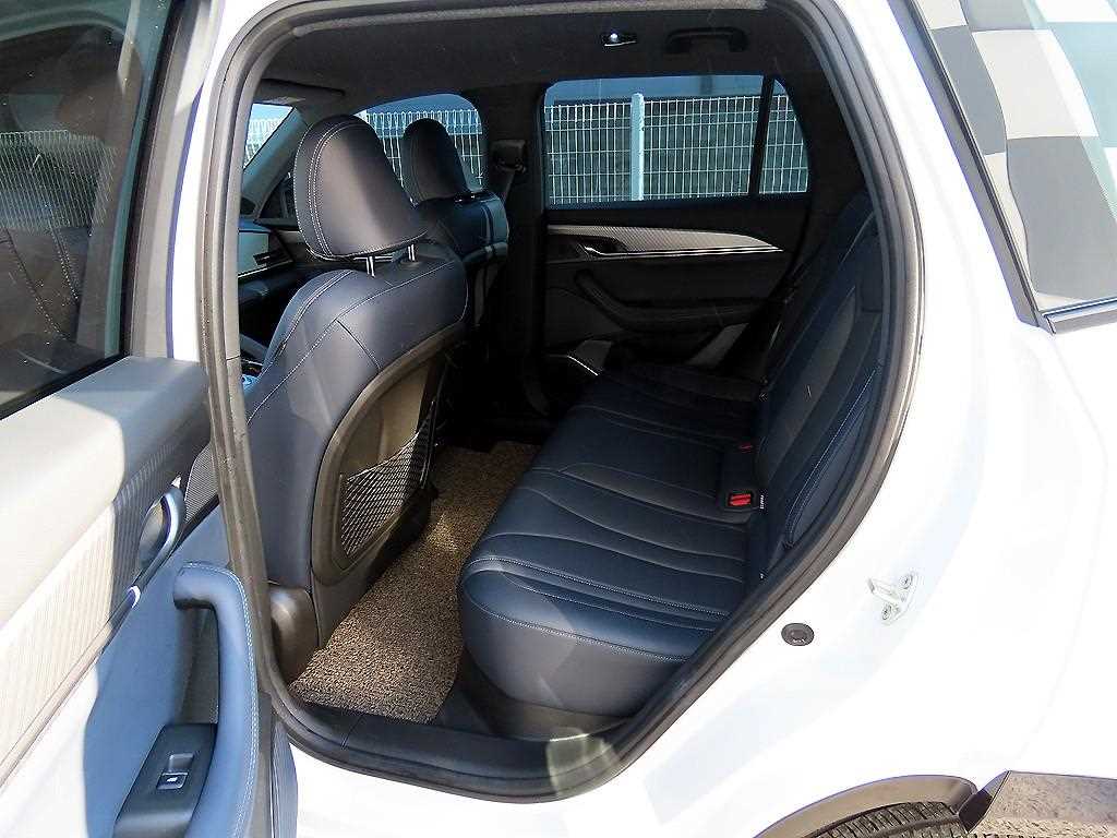 SAMSUNG Grand Koleos - Vista 6