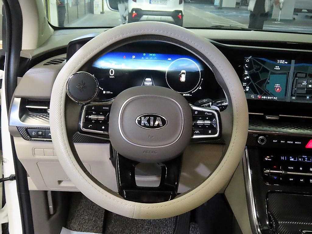KIA Carnival - Vista 8