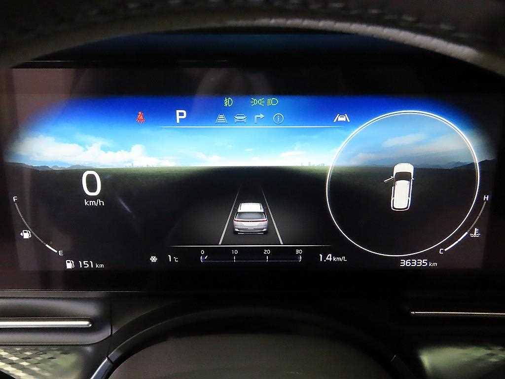 KIA Carnival - Vista 9