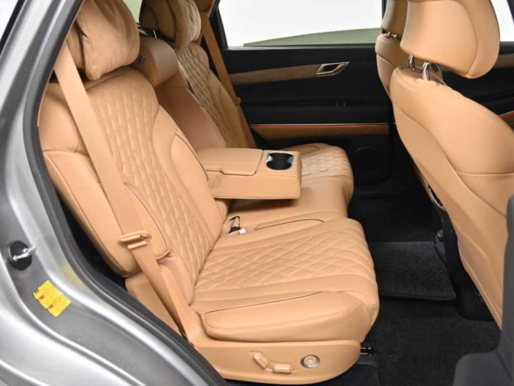 Genesis GV80 - Vista 12