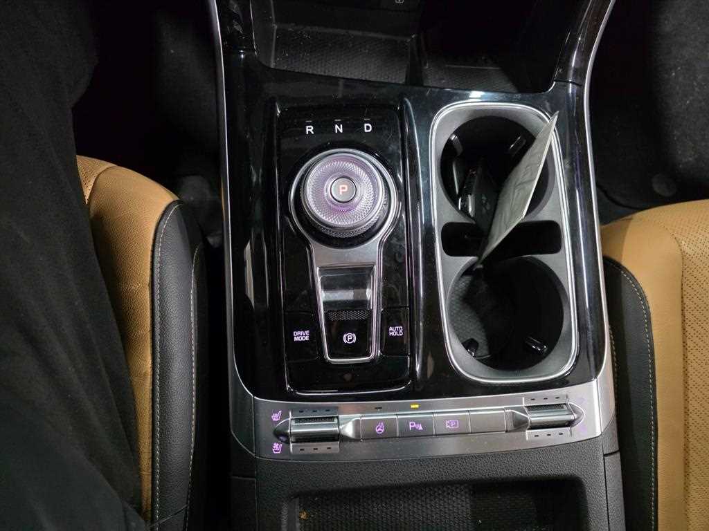 KIA Carnival - Vista 12