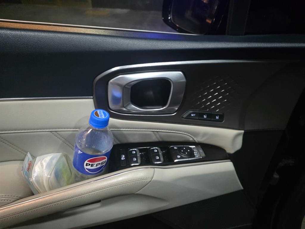 KIA Sorento - Vista 9