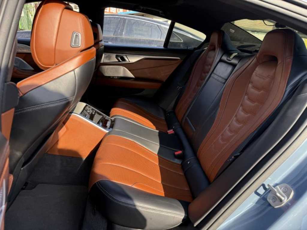 BMW 8 Series - Vista 6