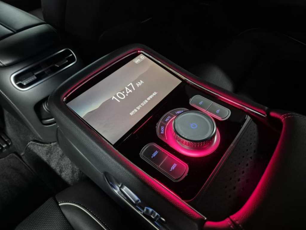 Genesis G90 - Vista 12