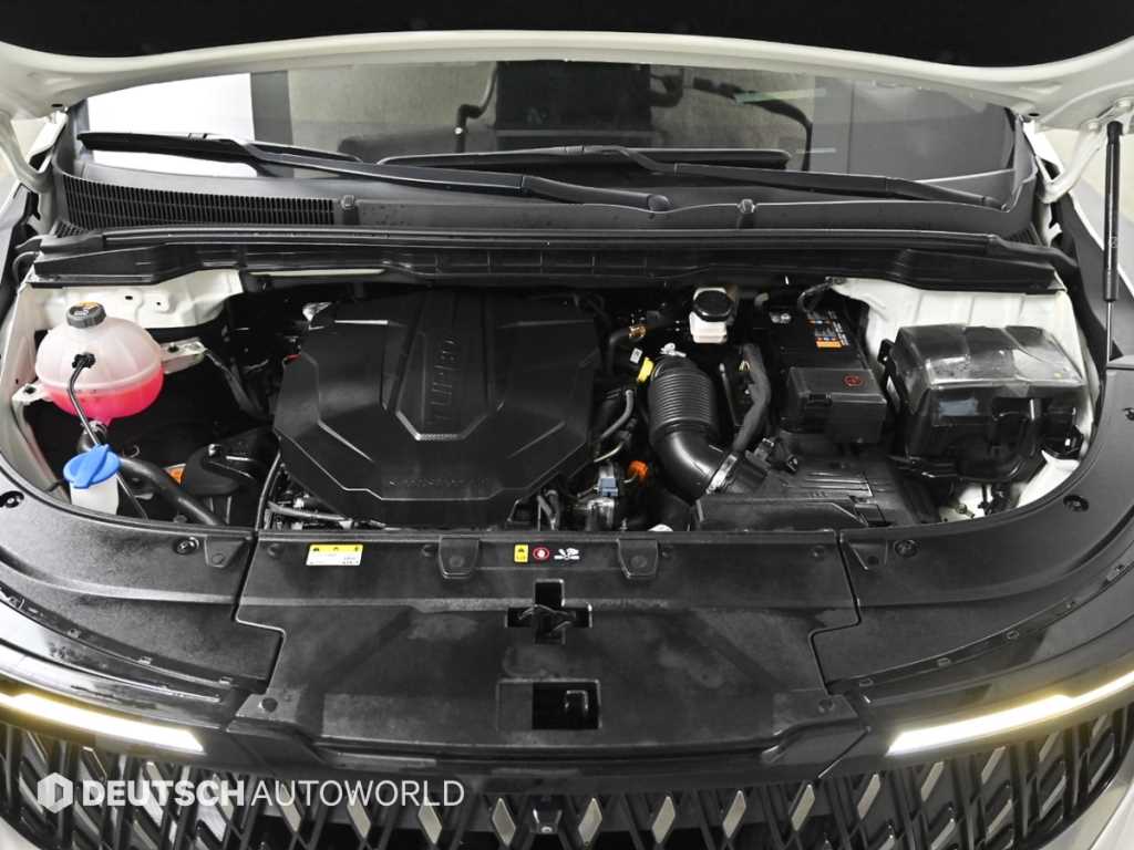 KIA Carnival - Vista 6