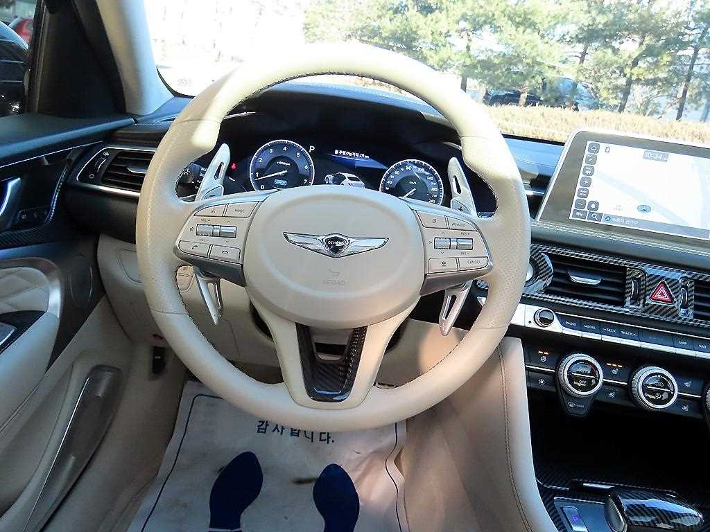 Genesis G70 - Vista 8