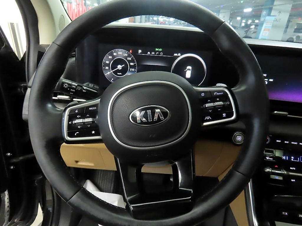KIA Carnival - Vista 8