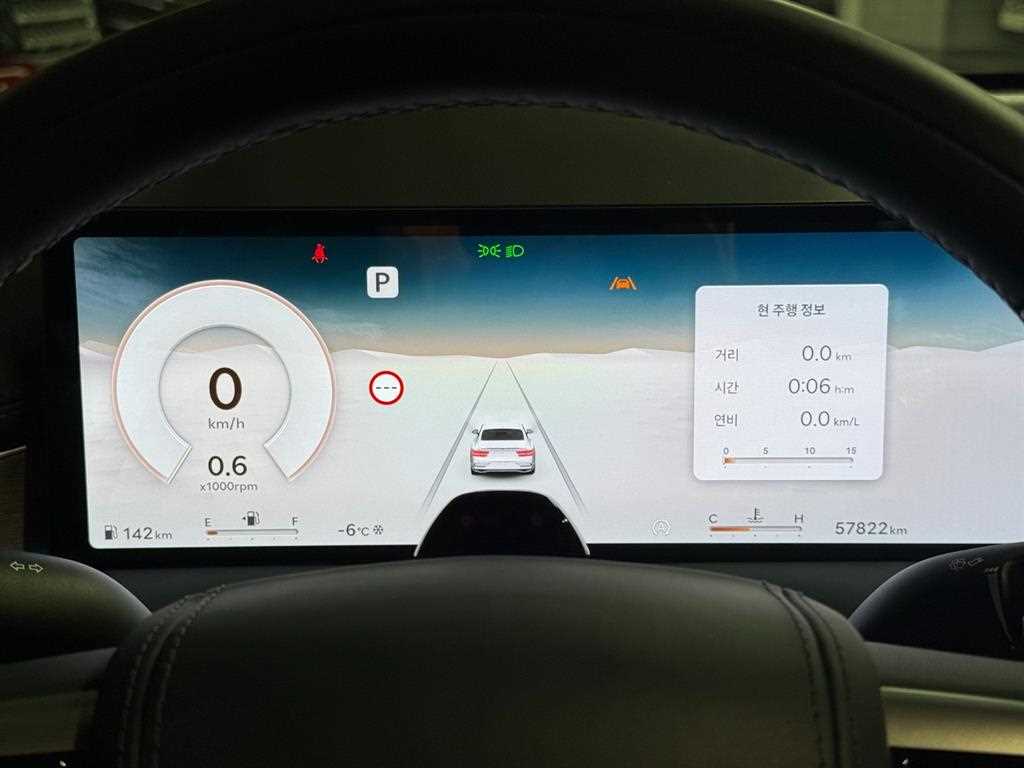 Genesis G80 - Vista 10