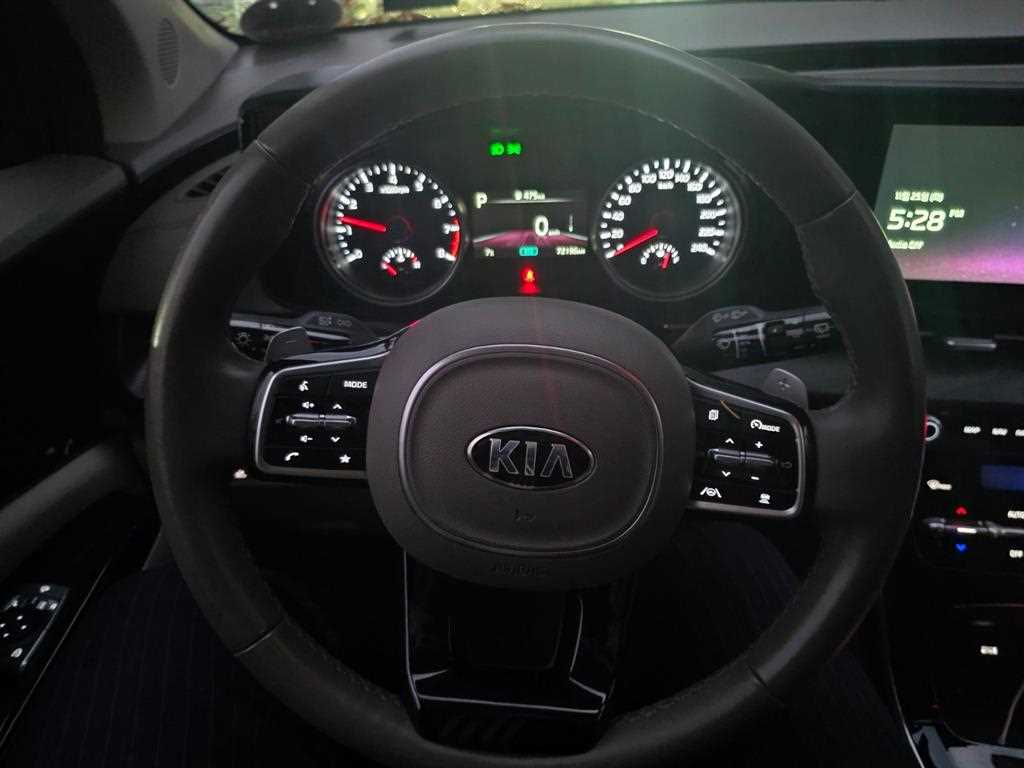KIA Carnival - Vista 11