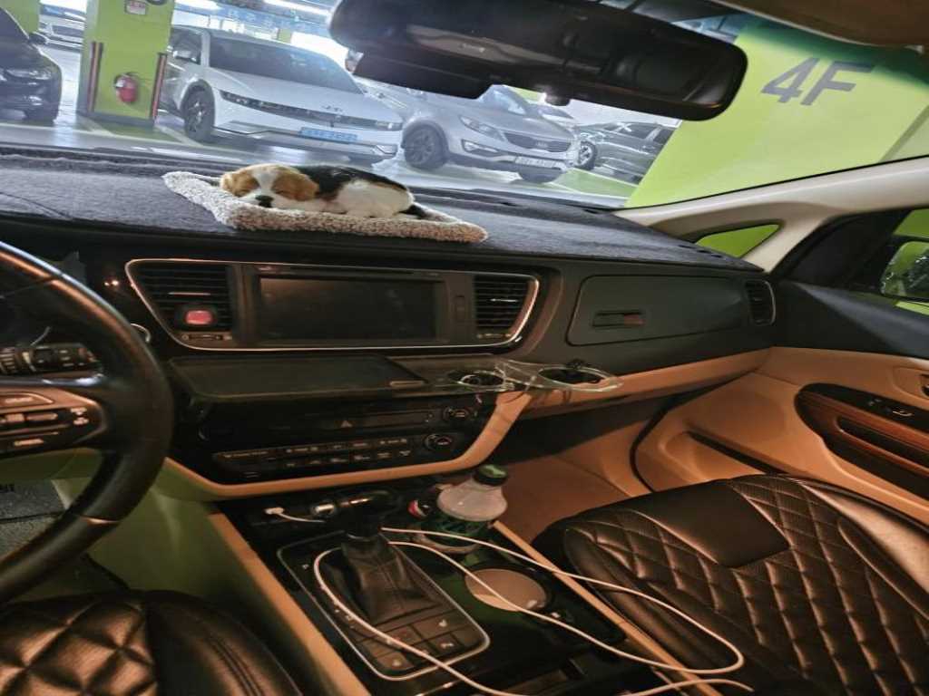 KIA Carnival - Vista 8