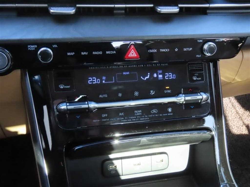 KIA Carnival - Vista 7