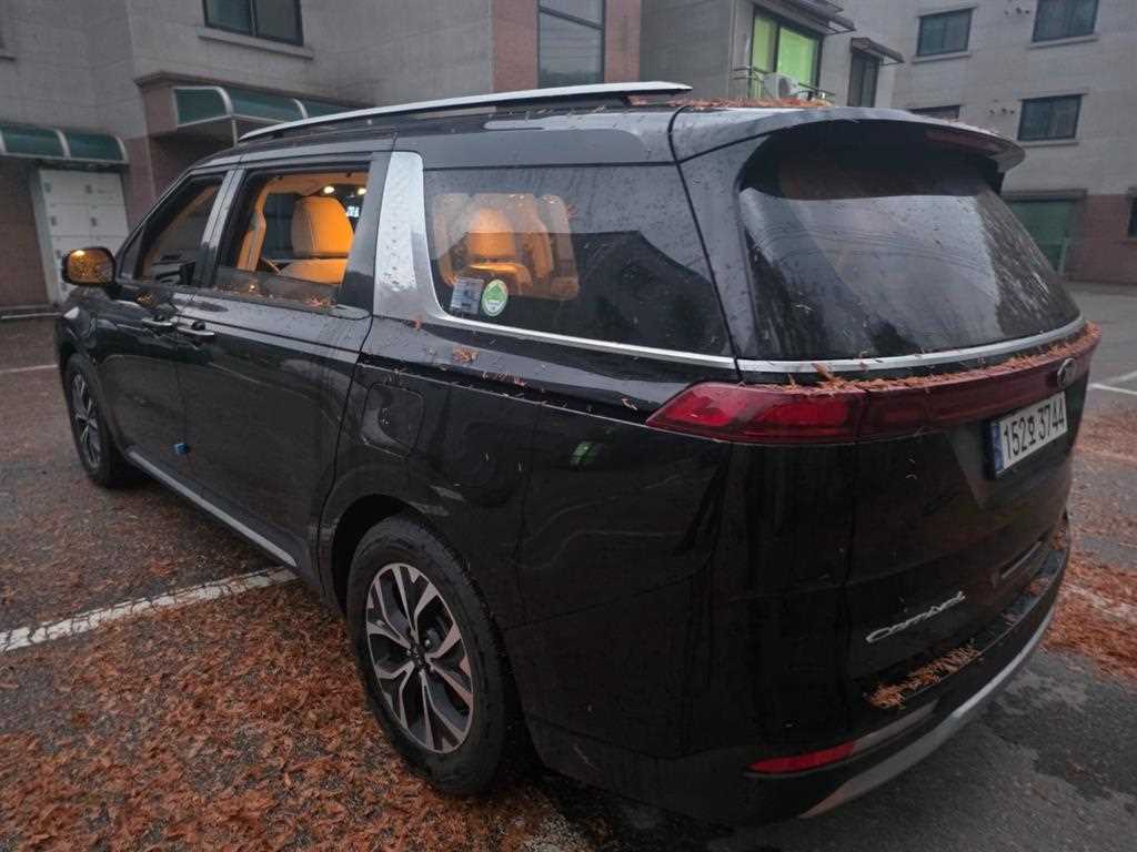 KIA Carnival - Vista 6