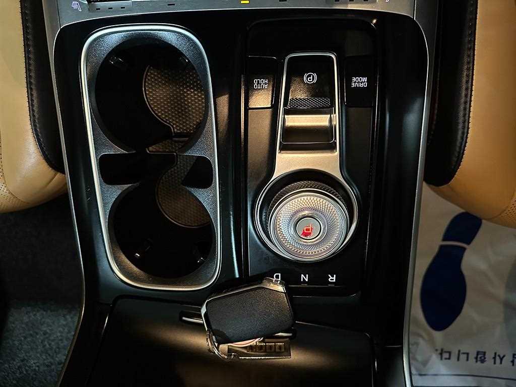 KIA Carnival - Vista 12