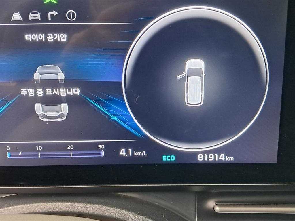 KIA Carnival - Vista 7