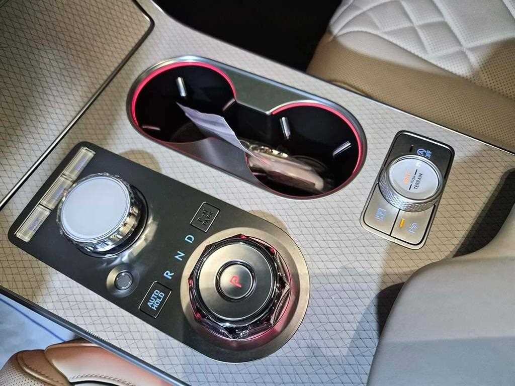 Genesis GV80 - Vista 10