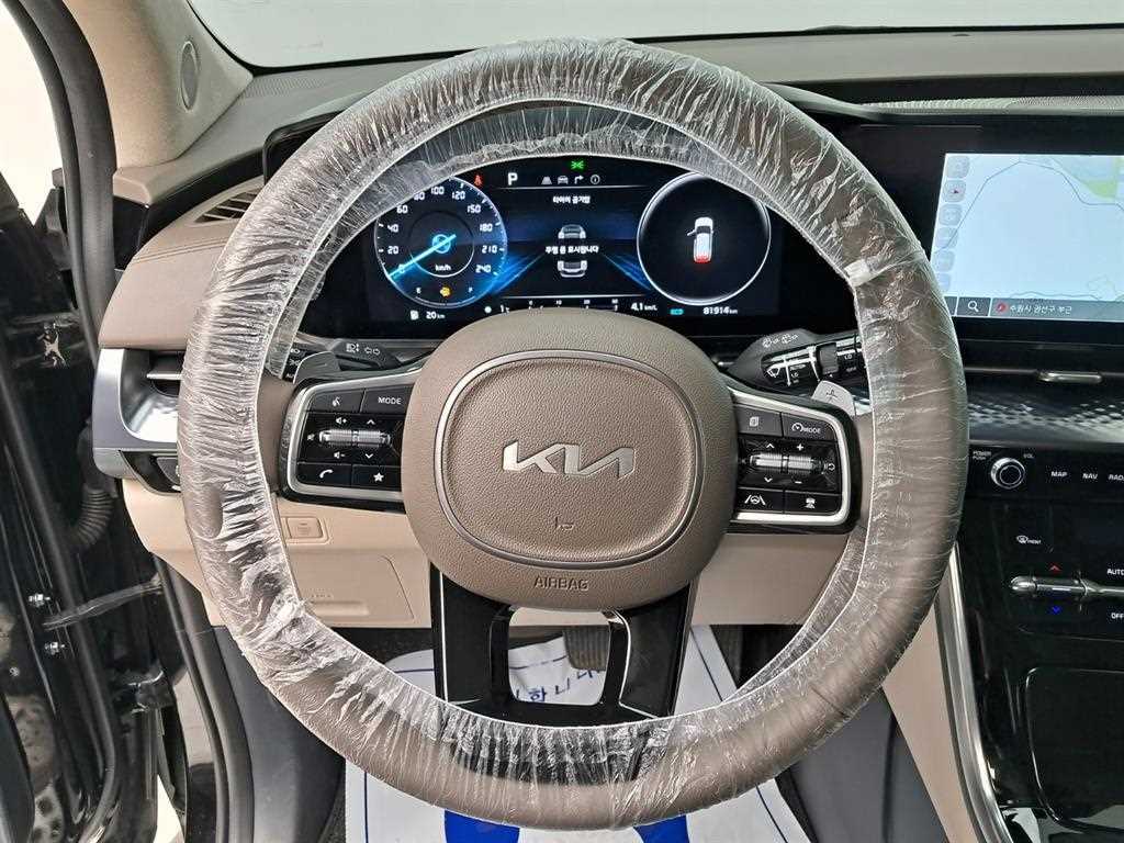 KIA Carnival - Vista 8