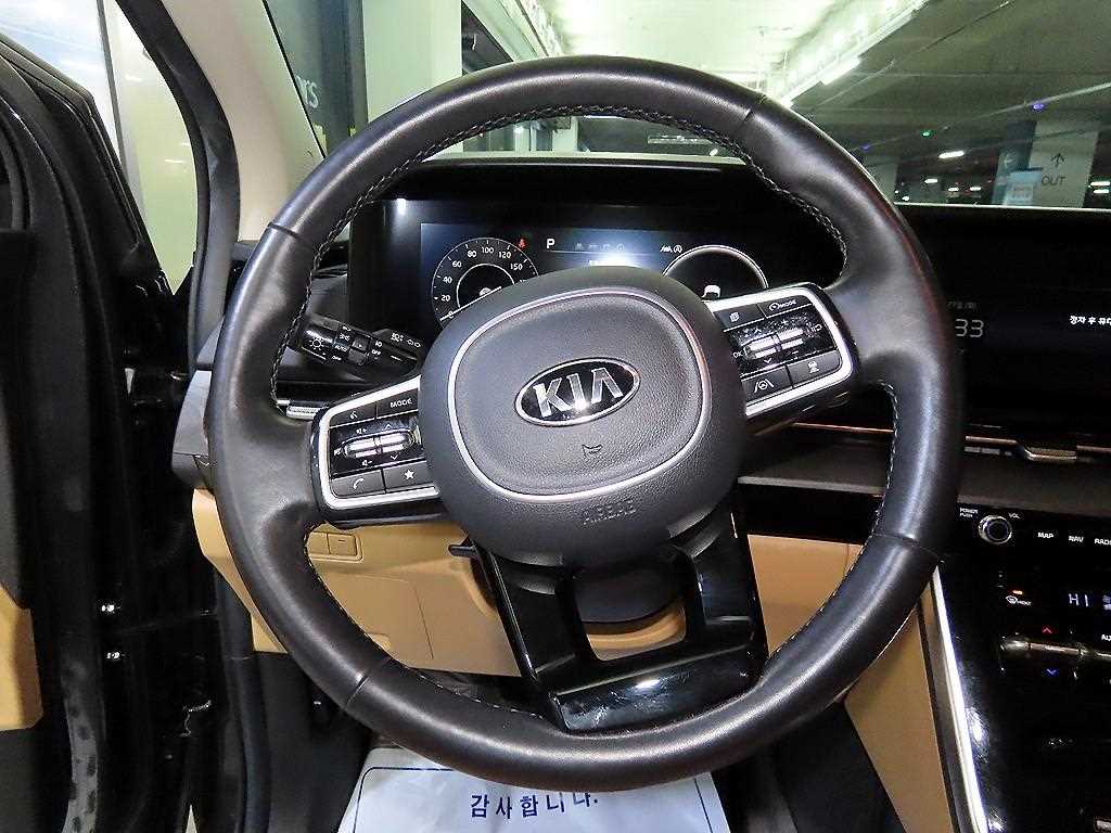 KIA Carnival - Vista 8