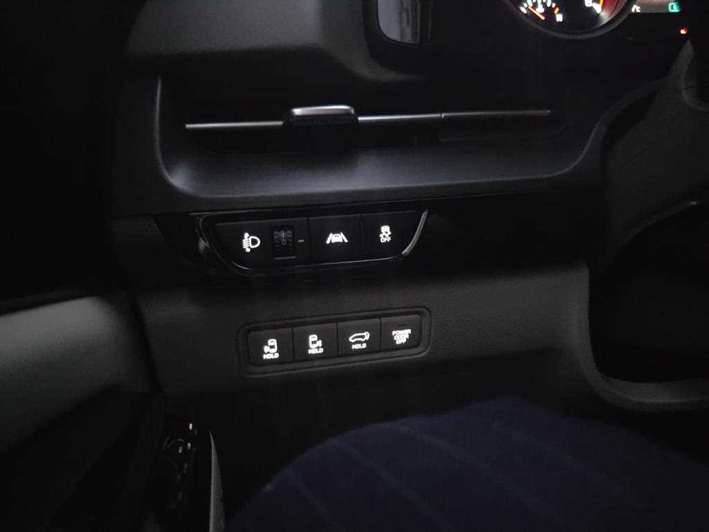 KIA Carnival - Vista 12