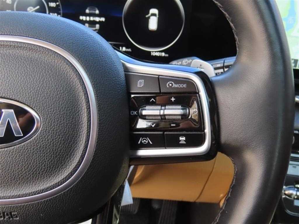 KIA Carnival - Vista 11