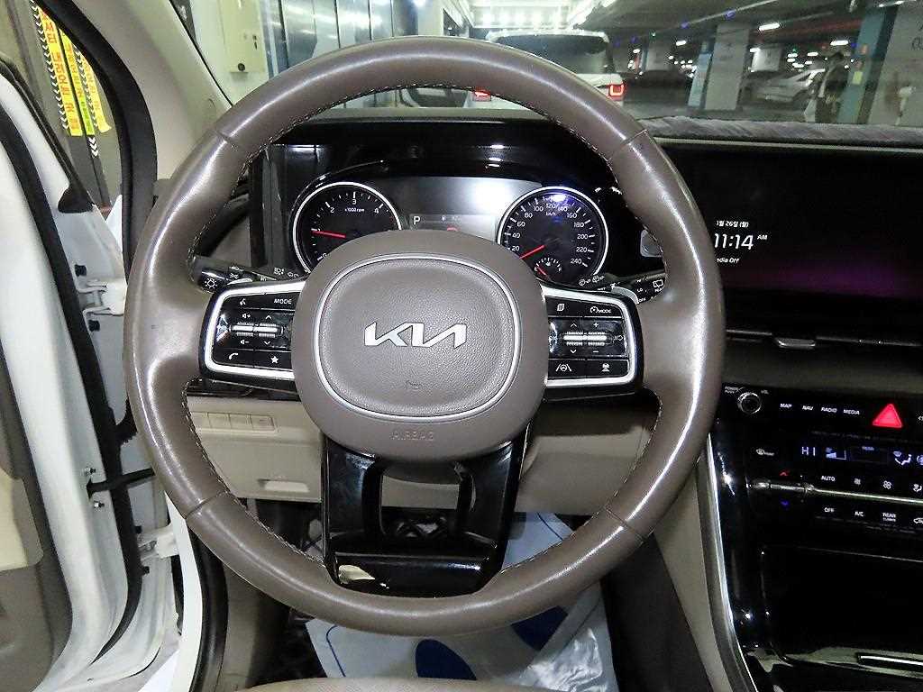 KIA Carnival - Vista 8