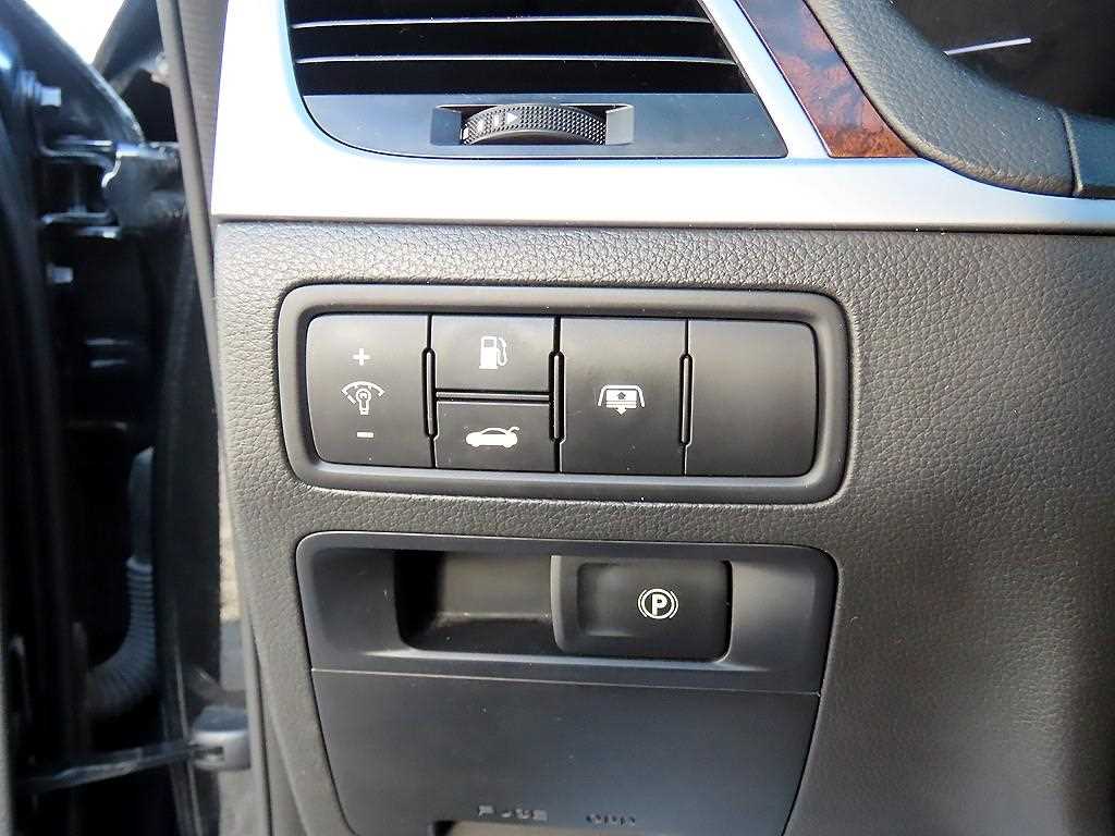 HYUNDAI Genesis - Vista 12