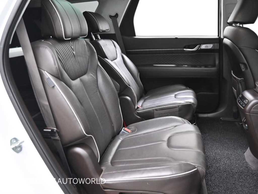 HYUNDAI Palisade - Vista 12