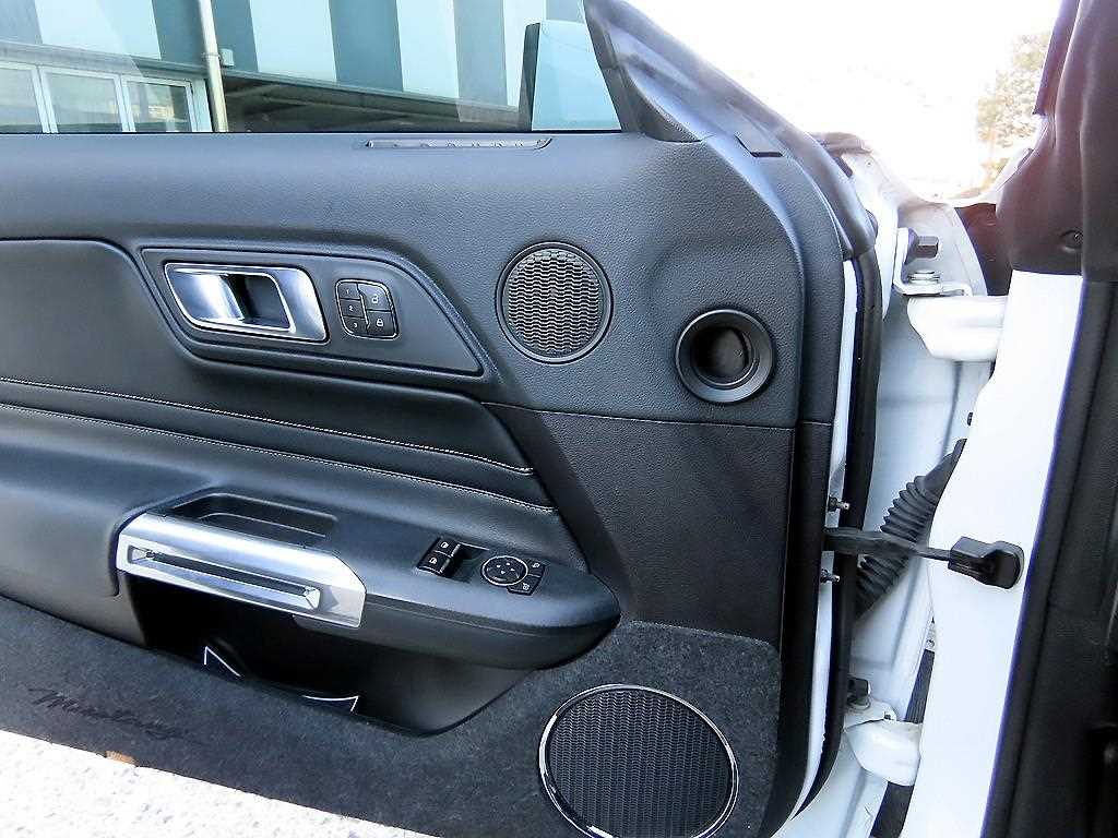 Ford Mustang - Vista 10