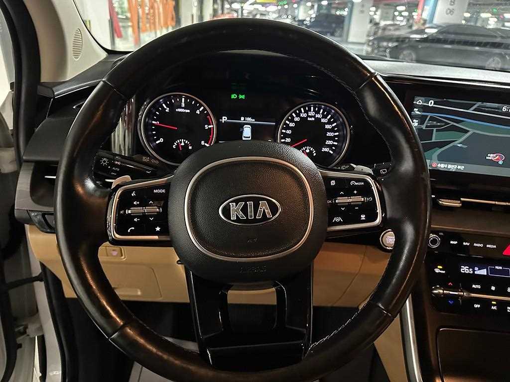 KIA Carnival - Vista 8