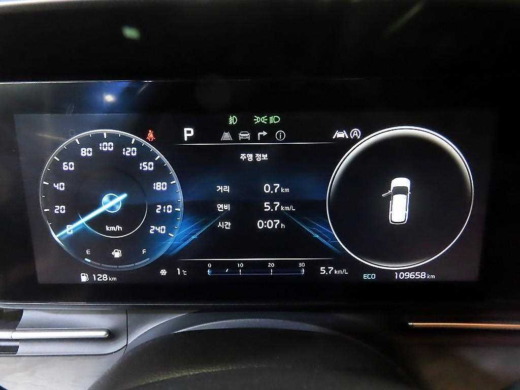 KIA Carnival - Vista 9