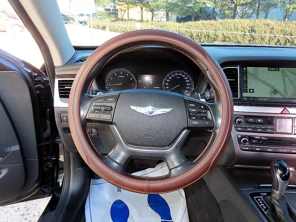 HYUNDAI Genesis - Vista 8