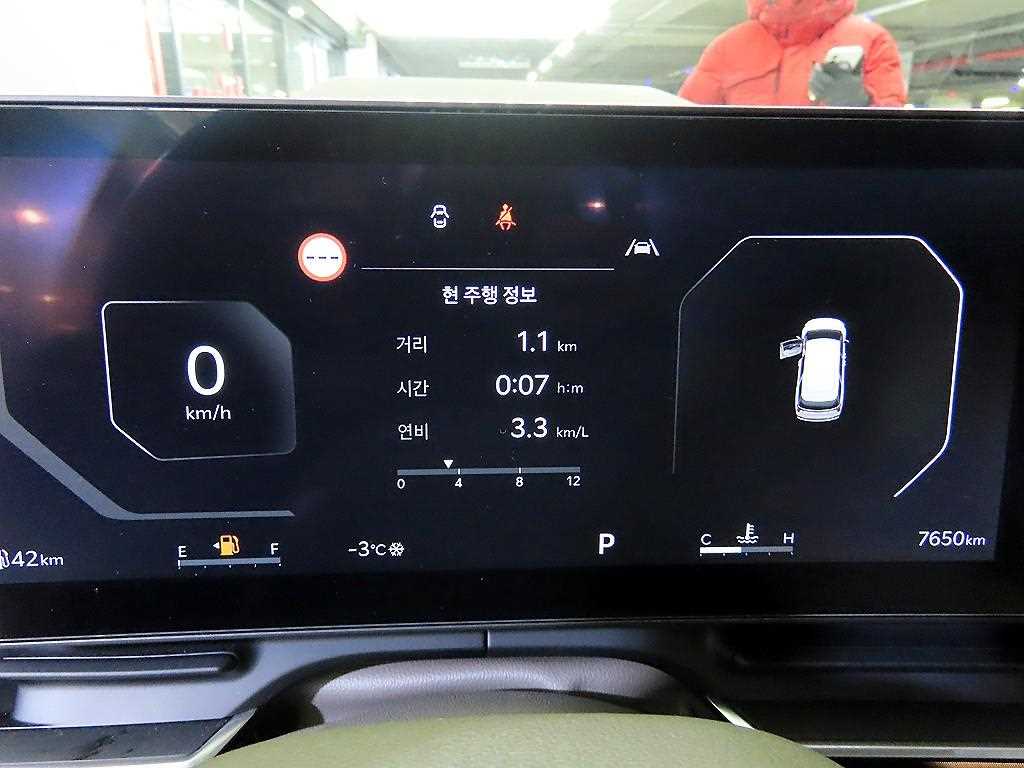 KIA Carnival - Vista 9