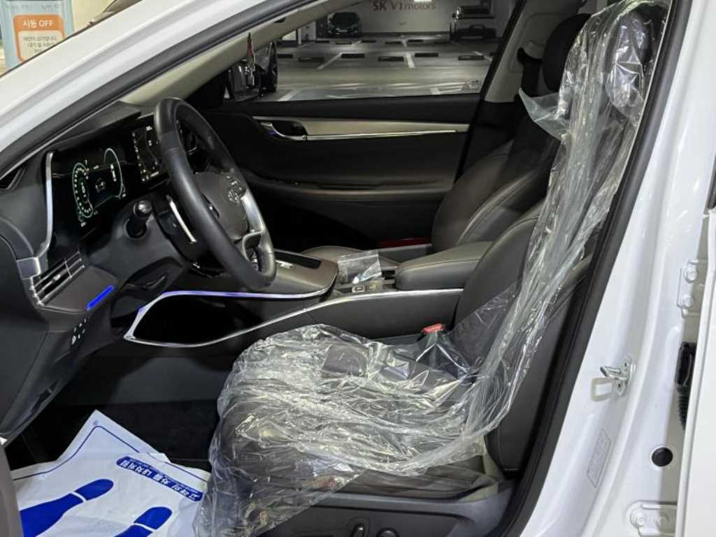 HYUNDAI Grandeur - Vista 12