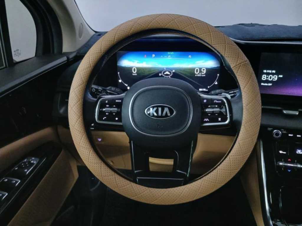 KIA Carnival - Vista 7