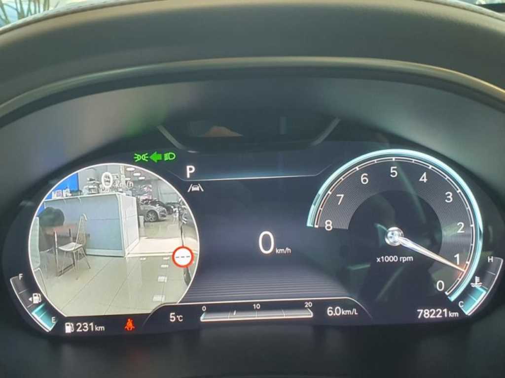 Genesis G80 - Vista 9