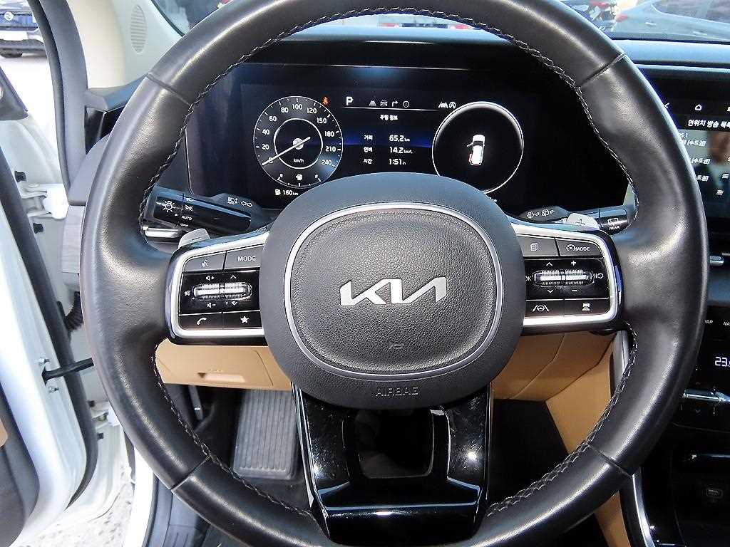 KIA Carnival - Vista 9