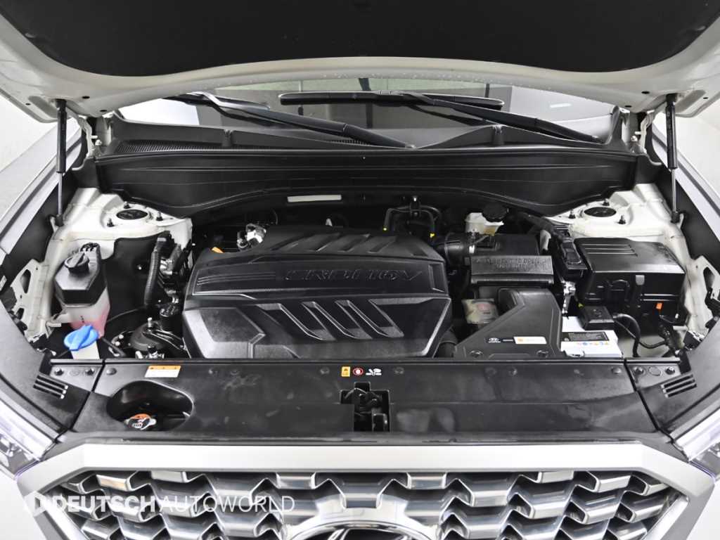 HYUNDAI Palisade - Vista 6