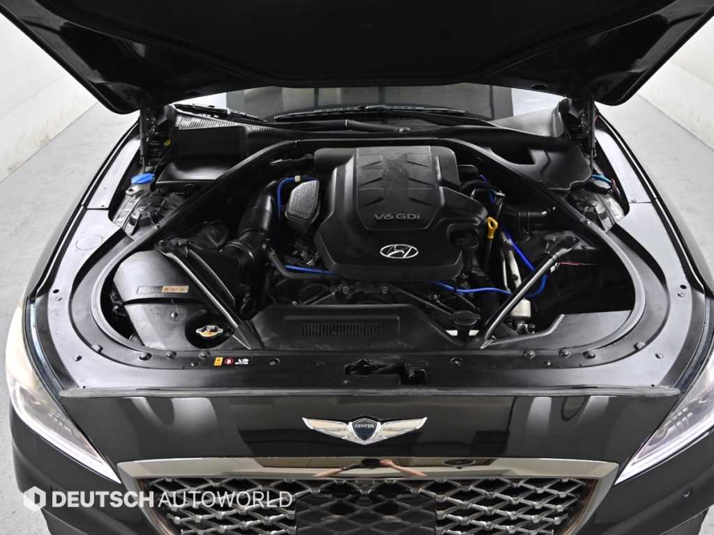 HYUNDAI Genesis - Vista 6