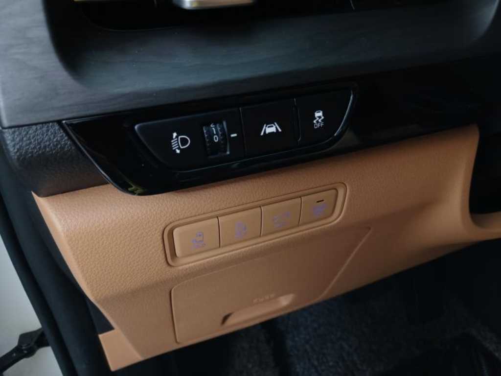 KIA Carnival - Vista 10