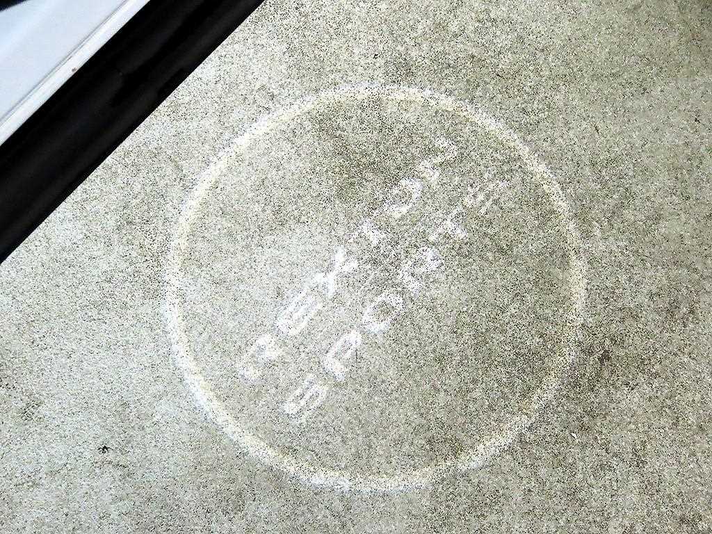 Ssangyong Rexton 2021 Blanco - Importación desde Corea - HF Imports Iquique - Foto 13