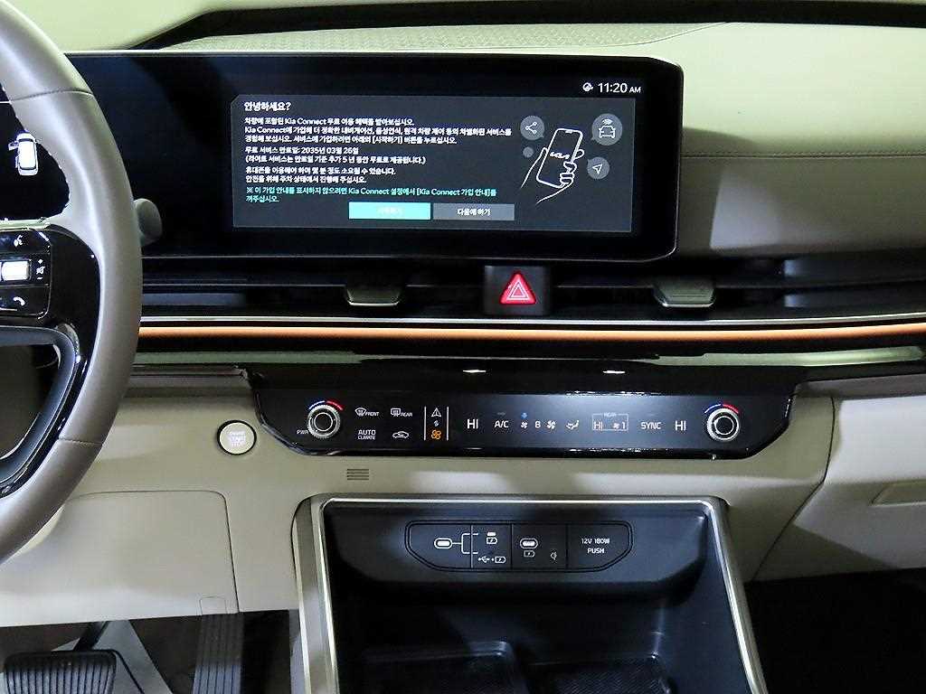 KIA Carnival - Vista 11